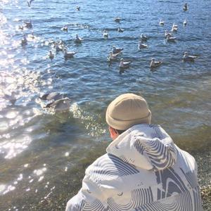 免费观看黄色小说
