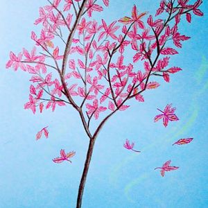 免费观看黄色小说
